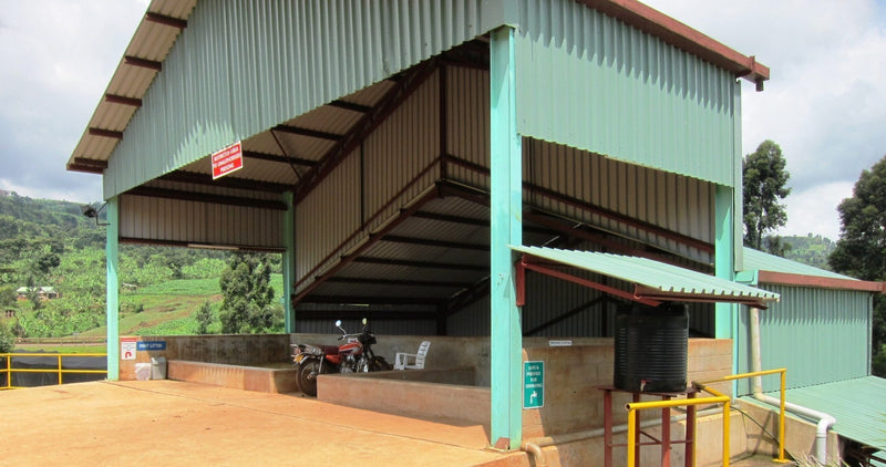 UGANDA ORGANIC RFA-IP BUGISU - 30096-2 - SPOT COSEATAC