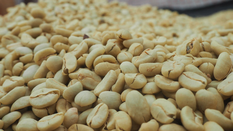 Uganda Bugisu Washed Double Picked AA - *42563* - 25196 - GrainPro Bags - SPOT RCWHSE