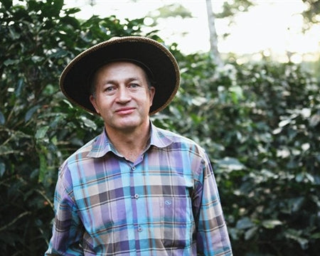 DECAF HONDURAS FT ORGANIC CAPUCAS SWISS WATER PROCESS - 29357 - SPOT RCWHSE