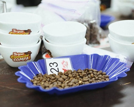 DECAF HONDURAS FT ORGANIC CAPUCAS SWISS WATER PROCESS - 29357 - SPOT RCWHSE