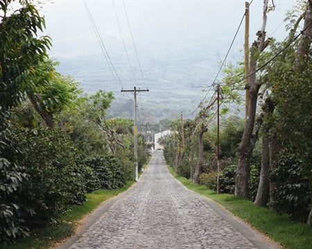 Guatemala Antigua Bella Carmona - *49089* - 24801 - 46.0 kg Ecotact Bags - SPOT RCWHSE