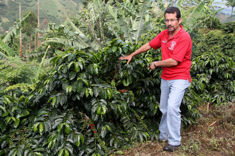 Costa Rica El Cedral Dota Natural AAA EP - 30591 - GrainPro Bags - SPOT COSEATAC