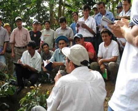 PERU ORGANIC RFA-IP NORTE SHB EP - *51667* - 24395 - SPOT RCWHSE