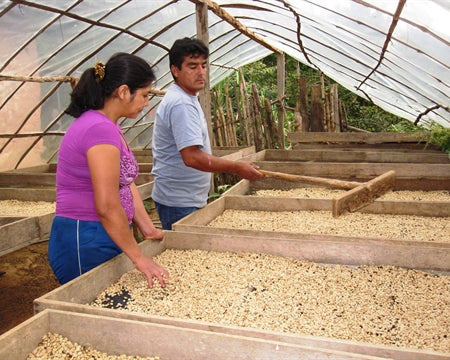PERU ORGANIC RFA-IP NORTE SHB EP - *51667* - 24395 - SPOT RCWHSE