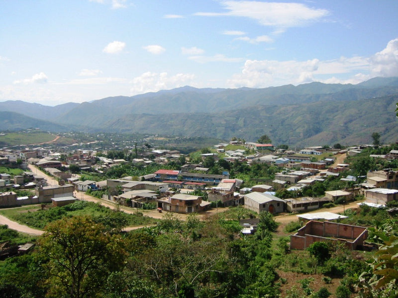 PERU ORGANIC RFA-IP NORTE SHB EP - *51668* - 24396 - SPOT RCWHSE