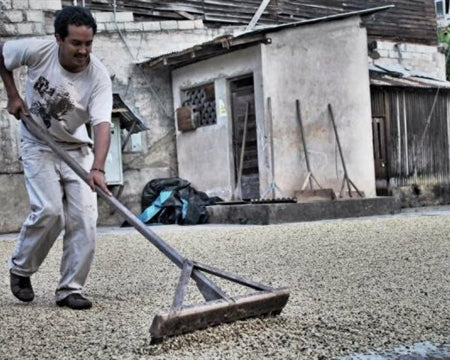 PERU ORGANIC JUNIN PALOMAR BLEND SHB EP - 32148 - GrainPro Bags - SPOT RCWHSE