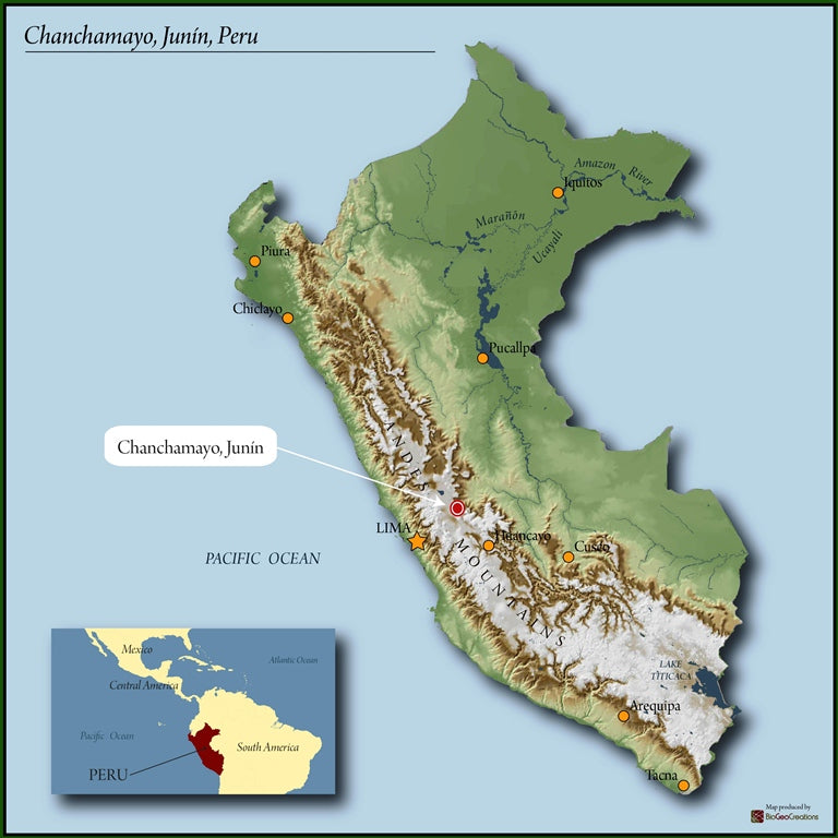 PERU ORGANIC GRADE 1 82+ - 36830 - SPOT RCWHSE