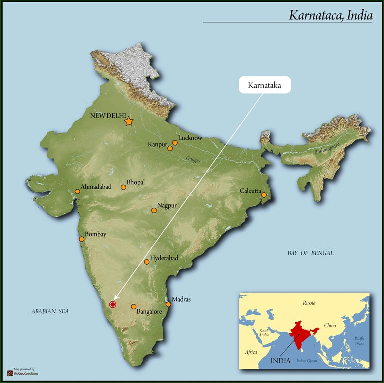 India Cherry Robusta 17 A - 29250 - 60.0 kg Bags - SPOT RCWHSE