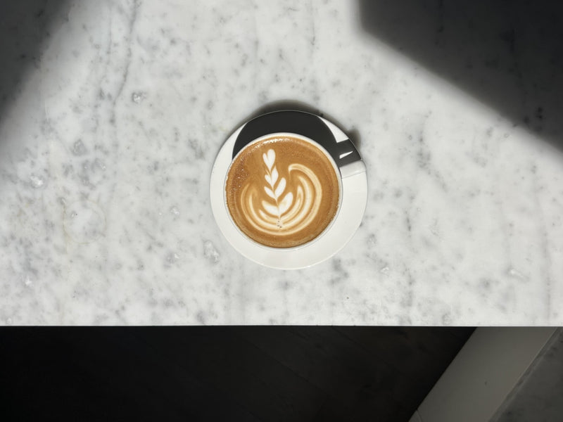 Class: Milk Steaming and Latte Art Workshop