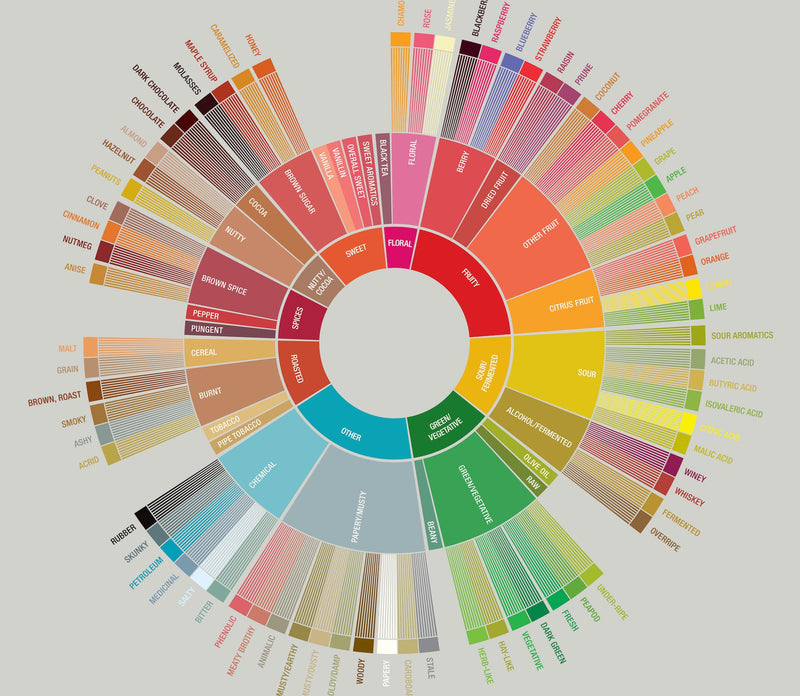 Class: Understanding The Coffee Flavor Wheel (And How To Talk About Coffee Flavors)- An Interactive Sensory Experience and Discussion