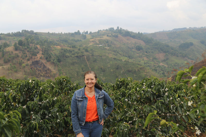 Colombia Cauca Totoro - 32128 - 70.2 kg GrainPro Bags - SPOT RCWHSE