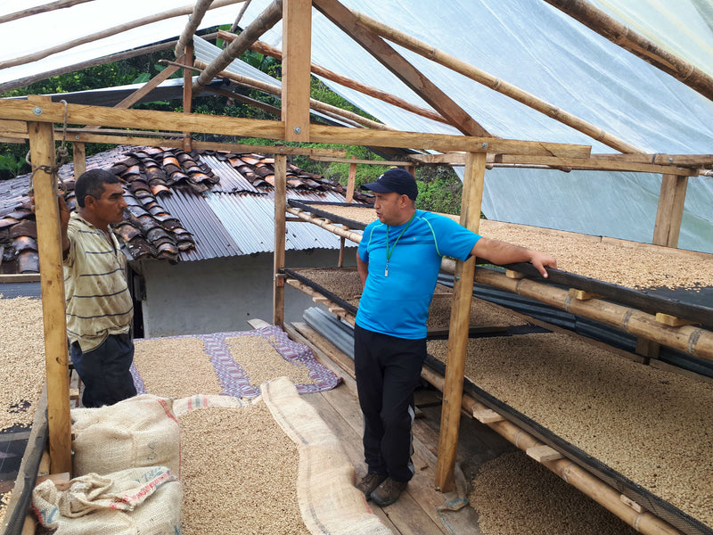 COLOMBIA FT-FLO ORGANIC CAUCA COSURCA 84+ - *51816* - 26801 - 70.0 kg GrainPro Bags - SPOT RCWHSE