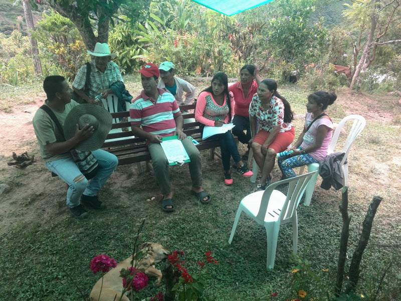 COLOMBIA FT-FLO ORGANIC CAUCA COSURCA 84+ - *51816* - 26801 - 70.0 kg GrainPro Bags - SPOT RCWHSE