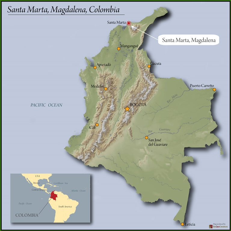 Colombia Farmgate Sierra Nevada Finca Lobella Yinson Arboleda - *49610* - 25903 - GrainPro Bags - SPOT RCWHSE