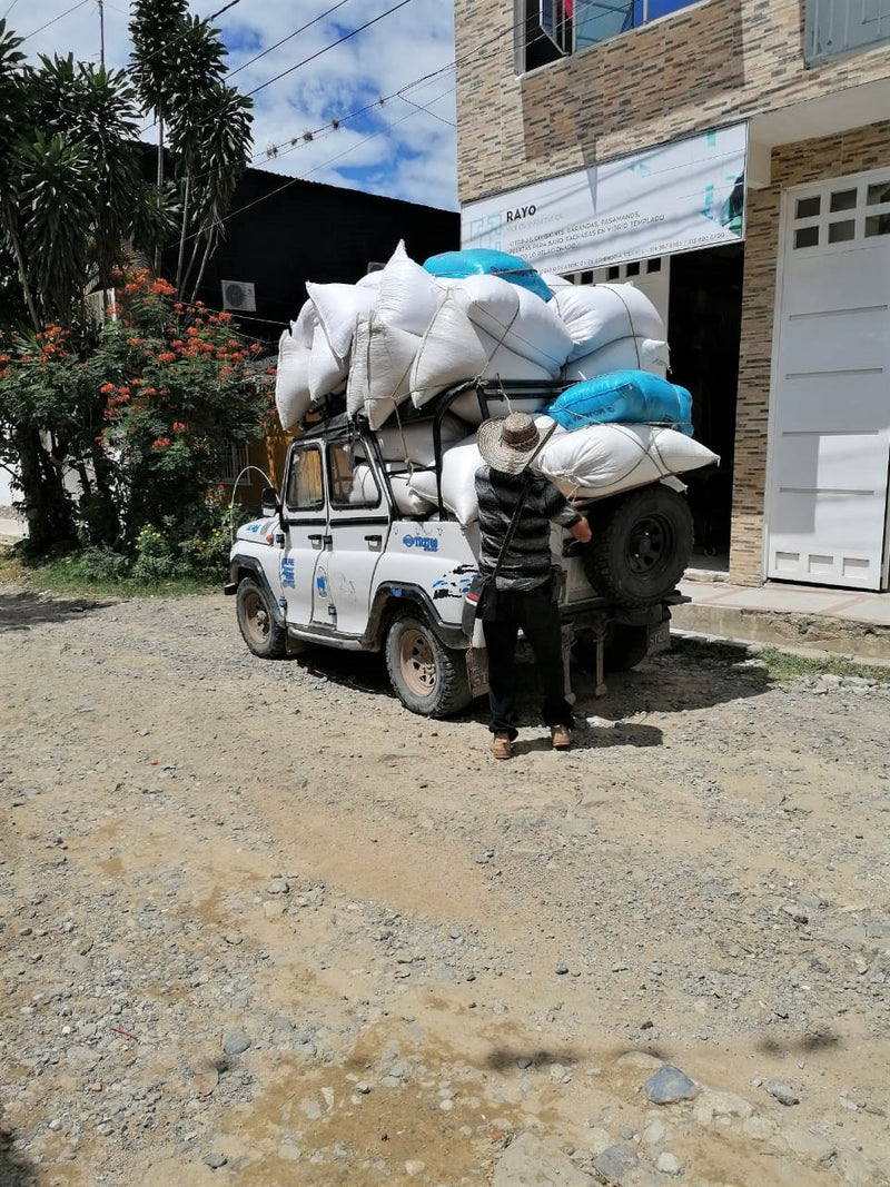 COLOMBIA ORGANIC TOLIMA PLANADAS 84+ - *49798* - 25253 - 70.1 kg GrainPro Bags - SPOT RCWHSE