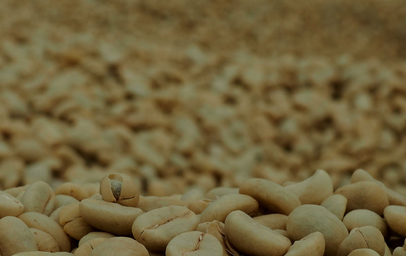 Colombia Huila Aguazul Pink Bourbon - *50241* - 25048 - 70.2 kg GrainPro Bags - SPOT RCWHSE