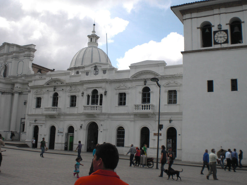Colombia Popayan Excelso EP - 31596-1 - 69.6 kg Bags - SPOT SEAFORTH