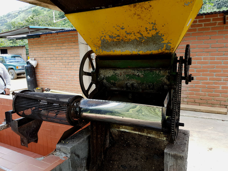 Colombia Popayan Supremo 17/18 - *49707* - 24285 - 70.0 kg Bags - SPOT RCWHSE