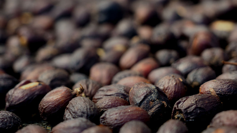 Colombia Tolima Dulce Natural - *46809C* - 25095 - 69.9 kg GrainPro Bags - SPOT SHANGHAI