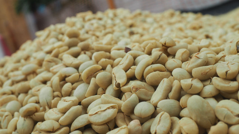 Colombia Tolima Excelso EP - 32627 - 70.1 kg GrainPro Bags - SPOT SEAFORTH