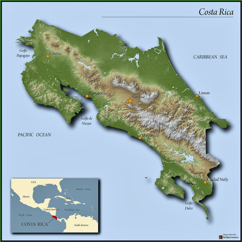 Costa Rica SHB EP - 41366 - February 2027 Shipment - RCWHSE