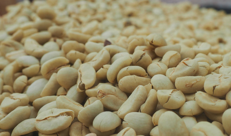 Costa Rica Mariposa Finca Rosa Linda Natural Caturra Catuai - *52121* - 27299 - GrainPro Bags - SPOT RCWHSE