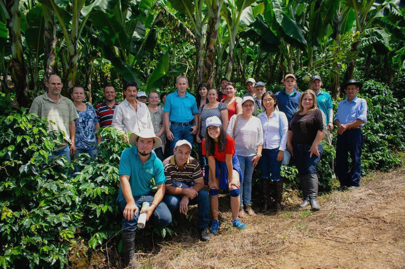 Costa Rica Tarrazu La Pastora SHB EP - *50499W* - 23667 - GrainPro Bags - SPOT COSEATAC