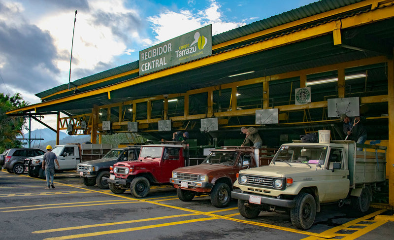 Costa Rica Tarrazu La Pastora SHB EP - 28795-3 - Ecotact Bags - SPOT DUPUYHOU