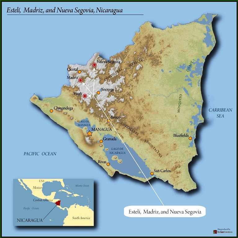 Nicaragua Dipilto SHG EP - 32526 - SPOT RCWHSE