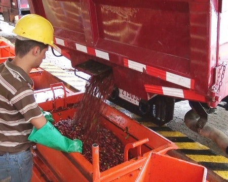 COSTA RICA FT ORGANIC MONARCA - *48356* - 23661 - GrainPro Bags - SPOT RCWHSE