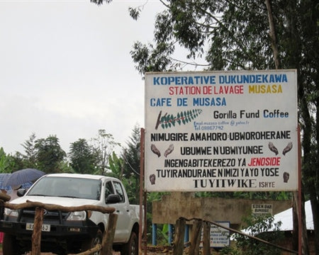 Rwanda RFA Dukunde Kawa Nkara - 31716 - GrainPro Bags - SPOT RCWHSE