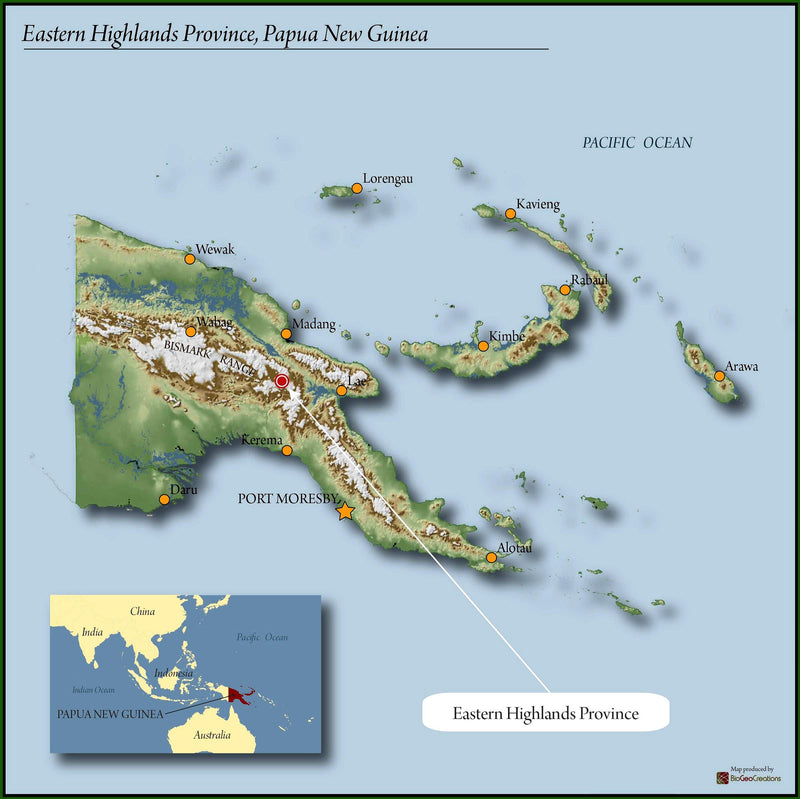 Papua New Guinea Eastern Highlands A - 29475 - GrainPro Bags - SPOT RCWHSE