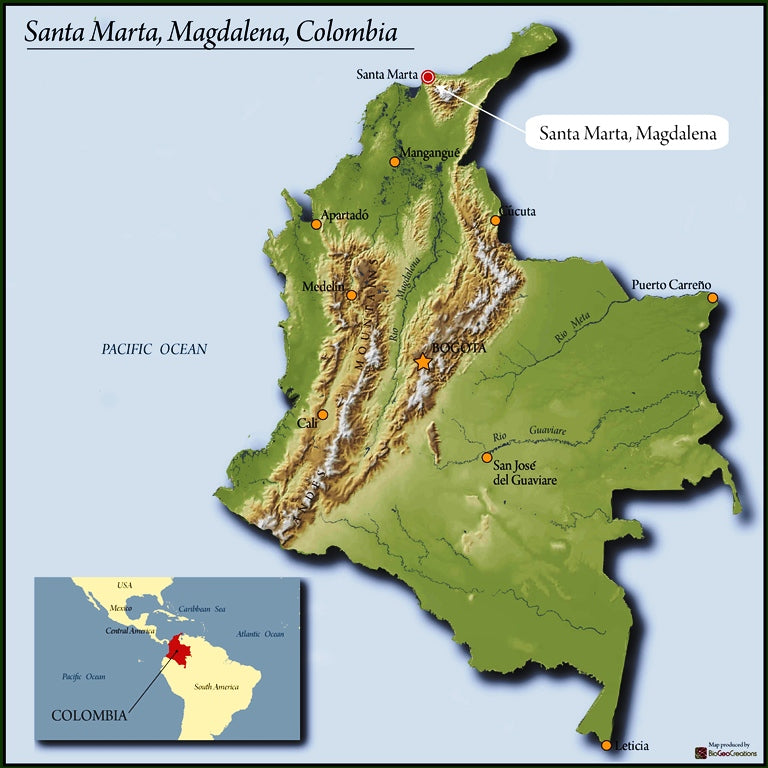 COLOMBIA FT-FLO/USA ORGANIC SIERRA NEVADA TAYRONACA - *48970W1* - 25035 - 69.9 kg GrainPro Bags - SPOT COSEATAC
