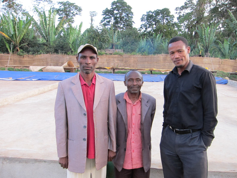 ETHIOPIA YIRGACHEFFE 3 NATURAL FT ORGANIC IDIDO - Lot 1 *50704* - 25855 - GrainPro Bags - SPOT RCWHSE