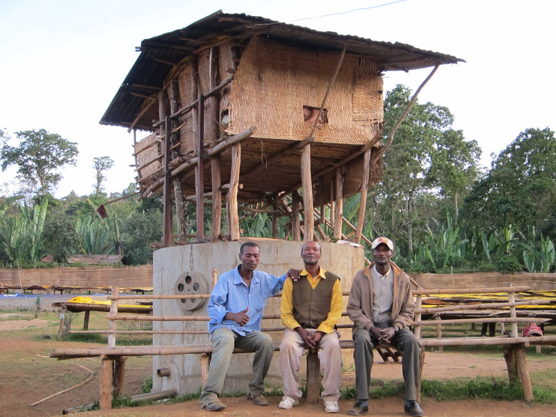 ETHIOPIA YIRGACHEFFE 3 NATURAL FT ORGANIC IDIDO - Lot 2 *50704-2* - 25856 - GrainPro Bags - SPOT RCWHSE