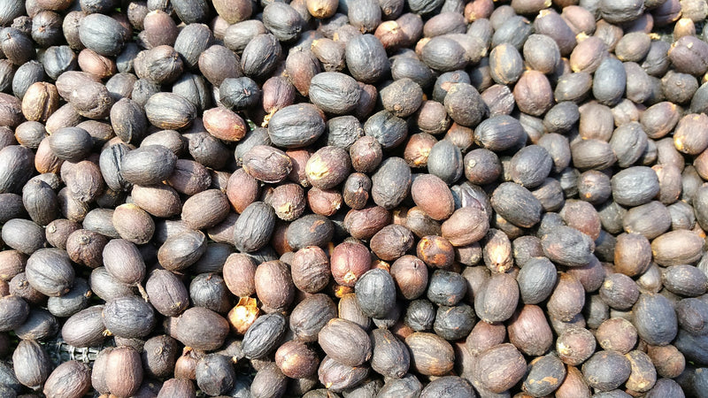 ETHIOPIA YIRGACHEFFE 3 NATURAL FT ORGANIC BANKO GOTITI - *51228* - 25848 - GrainPro Bags - SPOT RCWHSE