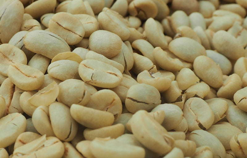 ETHIOPIA SIDAMA 2 WASHED FT ORGANIC NURA KORATE - *52558* - 27223 - Ecotact Bags - SPOT RCWHSE