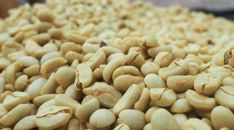 Ethiopia Yirgacheffe 2 Washed Konga Abiyot Ageze - *49544* - 25871 - GrainPro Bags - SPOT RCWHSE