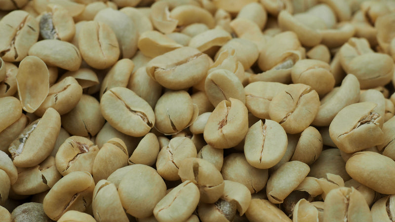 Ethiopia Yirgacheffe 2 Washed Aramo - Lot 2 *50289* - 25500 - GrainPro Bags - SPOT RCWHSE