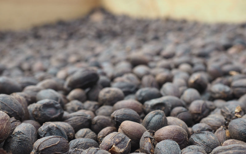 ETHIOPIA YIRGACHEFFE 1 NATURAL ORGANIC JEMJEMO WOLDE HIRBE - 30930 - GrainPro Bags - SPOT RCWHSE