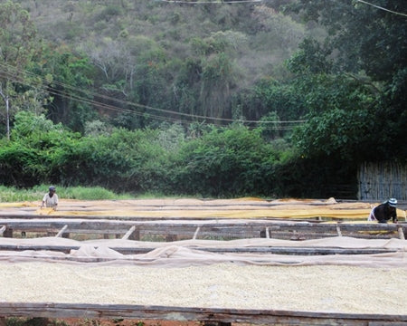 Kenya AB FAQ - *49274* - 24867 - Ecotact Bags - SPOT RCWHSE
