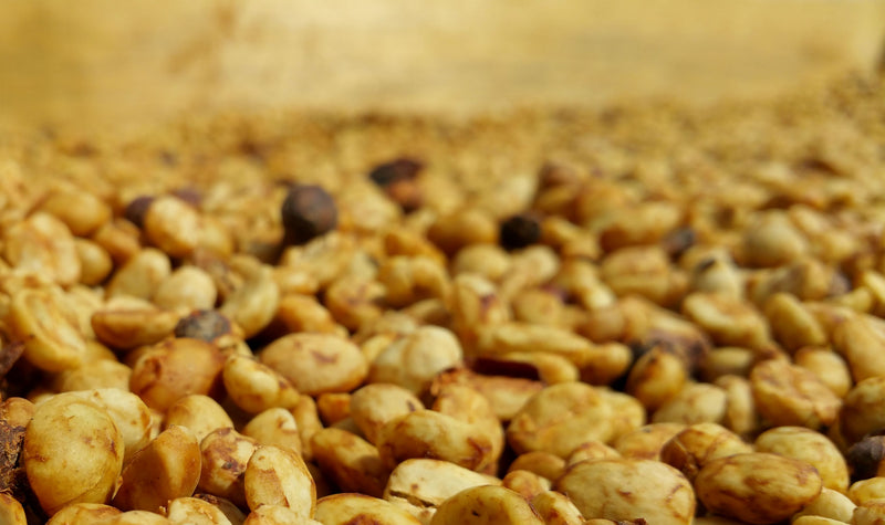 Brazil Mantiqueira Fazenda Baixadao Natural Yellow Catuai 15+ - 35077 - Videplast Bags - SPOT RCWHSE