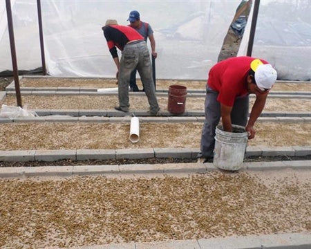 MEXICO FT-FLO ORGANIC CHIAPAS SAN FERNANDO ALTURA HG EP - *48671* - 24453 - SPOT RCWHSE