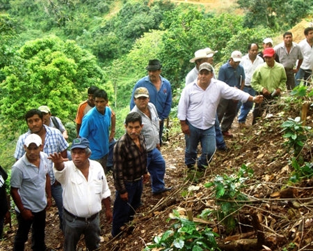 MEXICO FT-FLO ORGANIC CHIAPAS SAN FERNANDO ALTURA HG EP - 28289-2 - SPOT DUPUYHOU