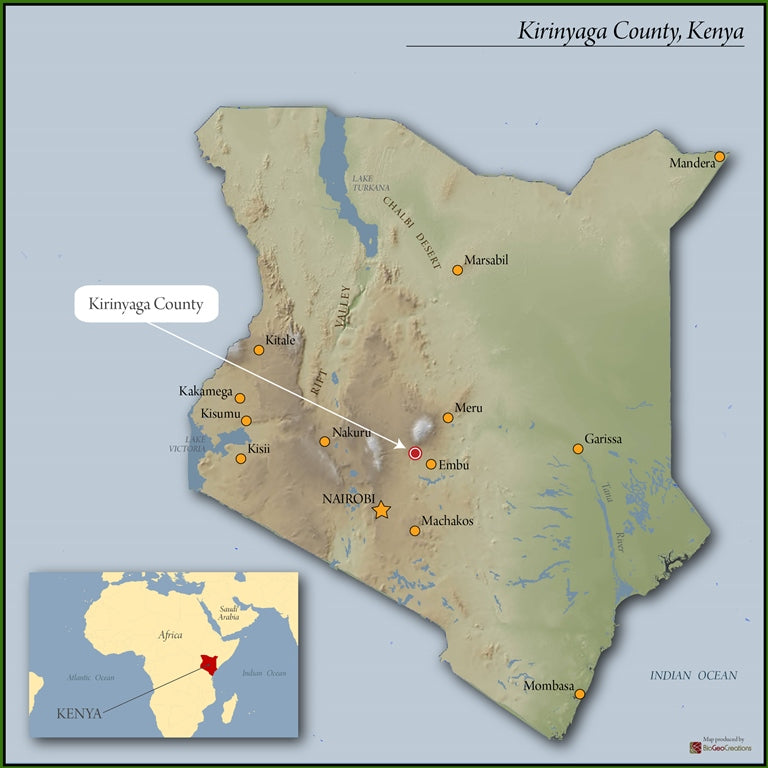 Kenya Kirinyaga New Ngariama Kiamugumo Peaberry - 11KN0021 - 36563 - GrainPro Bags - SPOT RCWHSE