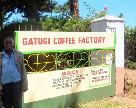 Kenya Nyeri Othaya Gatugi AB - 21TY0006 - 29344-1 - GrainPro Bags - SPOT COSEATAC