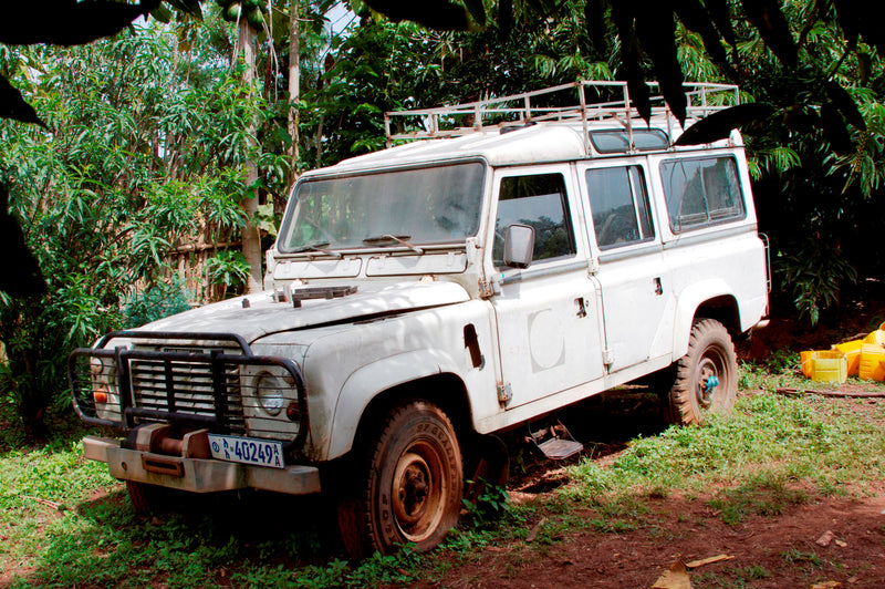 Ethiopia Bench Maji 2 Washed - 36112 - SPOT RCWHSE