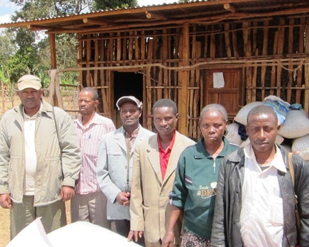 ETHIOPIA YIRGACHEFFE GEDEB 3 NATURAL ORGANIC BANKO GOTITI - *52567*  - 27232 - GrainPro Bags - SPOT SEAFORTH