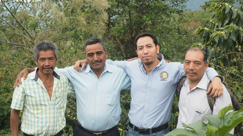 MEXICO ORGANIC CHIAPAS GRAPOS ALTURA HG EP - 32309 - SPOT RCWHSE