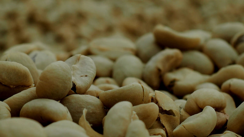 GUATEMALA FT-FLO/USA ORGANIC MANOS CAMPESINAS SAN MARCOS SHB EP - *49012W* - 25348 - GrainPro Bags - SPOT COSEATAC